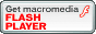 Flash Player  Download 
