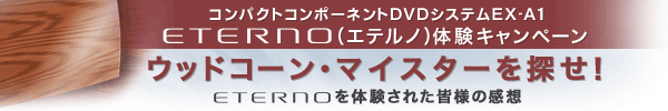 EX-A1 ETERNO ꂽ̂z