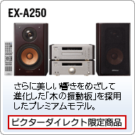 EX-A250