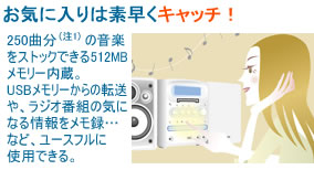 Cɓ͑fLb`I250ȕi1j̉yXgbNł512MB[BUSB[̓]AWIԑg̋CɂȂ^cȂǁA[XtɎgpłB