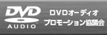 DVDAudio  v[VcĩN͕ʃEChEŊJ܂j