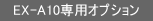 EX-A10pIvV