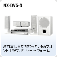 NX-DV5-S