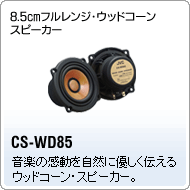 CS-WD85