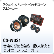 CS-WDS1