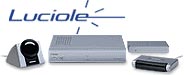 luciole