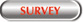 Survey