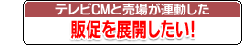  TV Set CMƔꂪȂWJI