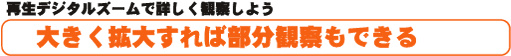 傫g傷Εώ@ł