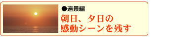 A[̊V[c