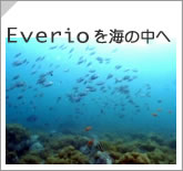 EverioC̒