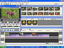 mjAҏW\tguMPEG Edit Studio Pro 1.0LEv