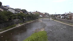 ̃OVbg