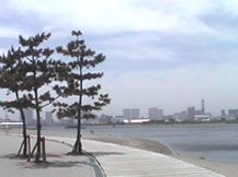 ACxŎBe摜
