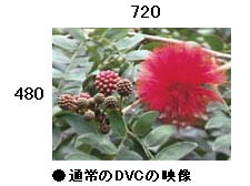 ʏDVC̉f