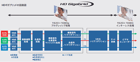 gcMKubg̉H}
