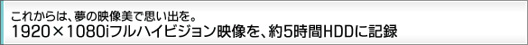 ꂩ́ẢfŎvoB1920~1080itnCrWfA5HDDɋL^B