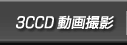 3CCDBe