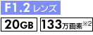 F1.2Y 20GB 133f2