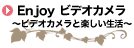 EnjoyVideo Cameras 