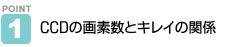 |Cg1@CCD̉fƃLC̊֌W