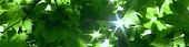 Moving image E