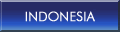 Indonesian