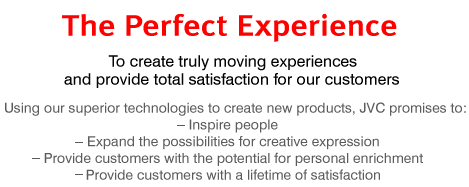 The Perfect Experience