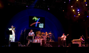 Groove Collective 