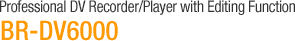 Professional DV Recorder/Player with Editing Function
