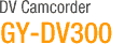 DV Camcorder GY-DV300