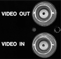Direct Connection with Analog Camera to Digital Network
