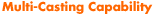 Multicasting Capability