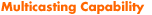Multicasting Capability