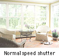 Normal speed shutter