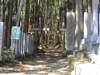Mountain Closed to Women