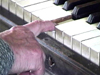 The Piano Is Still Alive