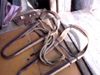 Mulberry Tree Snowshoes