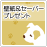 ǎZ[o[v[giThis Page Will Open In a New Window j
