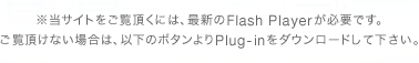 TCgɂ́AŐVFlash PlayerKvłB Ȃꍇ́Aȉ̃{^Plug-in Download ĉB