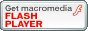 Flash Player  Download 