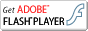 Flash Player  Download 