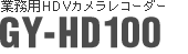 ƖpHDVJR[_[@GY-HD100