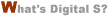 What's Digital S?
