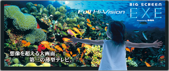 想像を超える大画面へ、第三のflat screen tvへ。