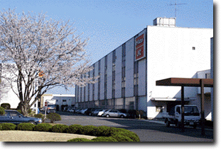 Mito Plant